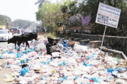 Proper efforts not being made to keep Goa free from  garbage menace