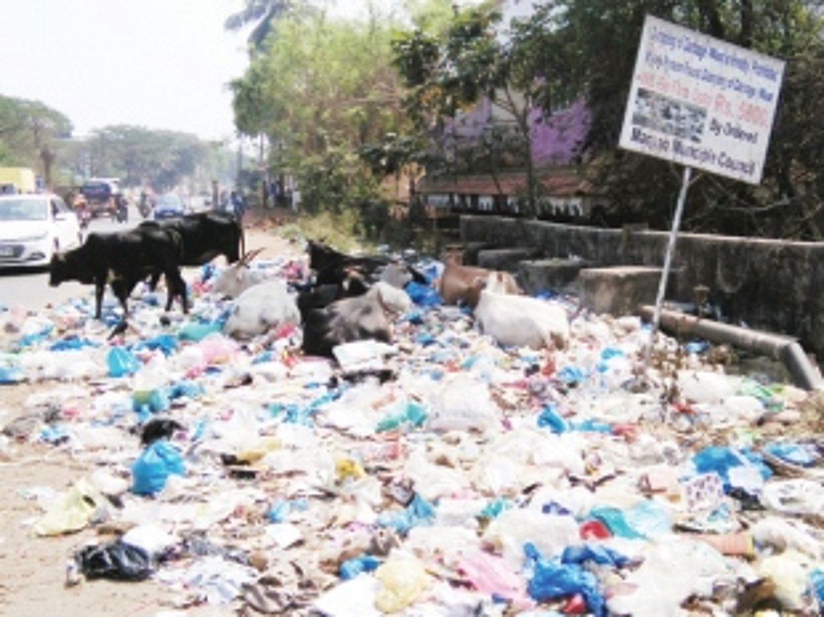 Proper efforts not being made to keep Goa free from  garbage menace