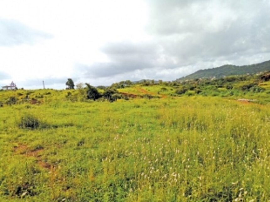 Proposed educational hub at Davorlim-Dicarpale in limbo 1 Proposed educational hub at Davorlim-Dicarpale in limbo