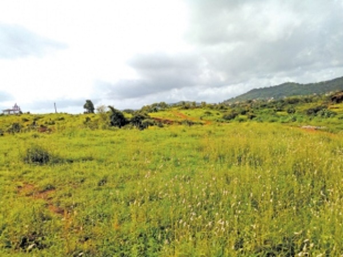 Proposed educational hub at Davorlim-Dicarpale  in limbo