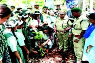 Protect Goa’s green cover, need to plant more trees: NGOs