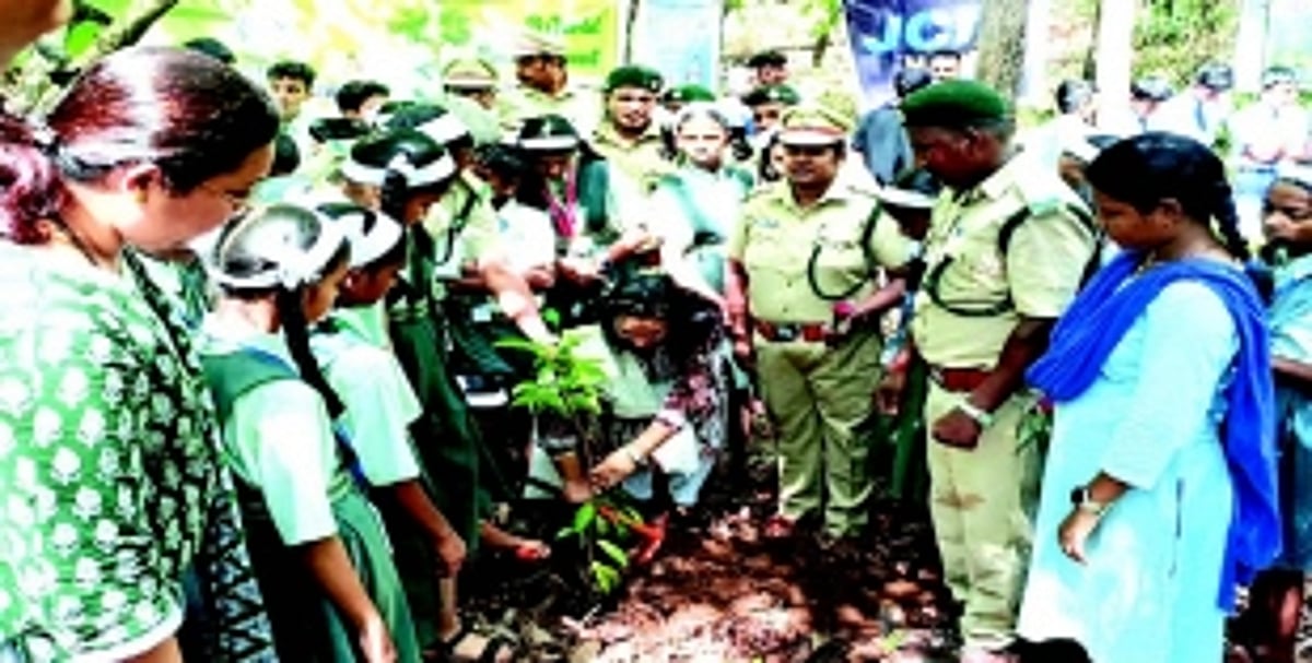 Protect Goa’s green cover, need to plant more trees: NGOs
