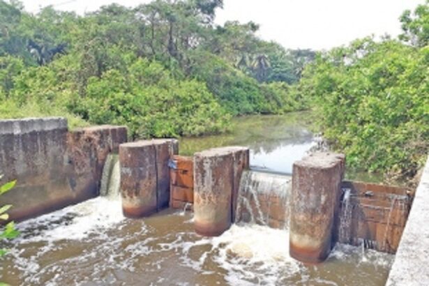 Protect Nuvem khanddis  from man-made nuisance