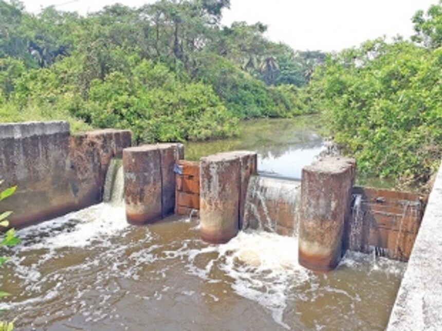 Protect Nuvem khanddis  from man-made nuisance