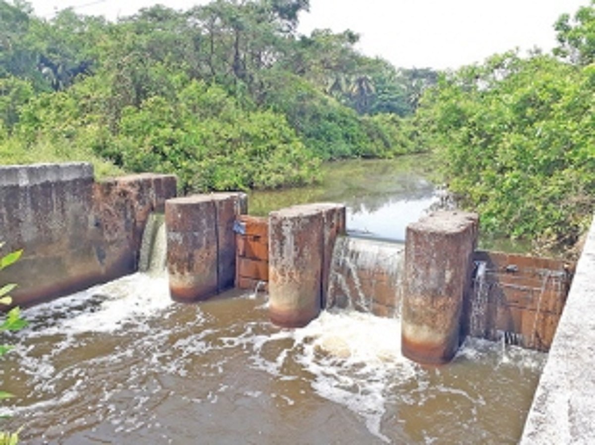 Protect Nuvem khanddis  from man-made nuisance