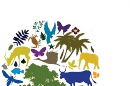 Protect biodiversity  to prevent the next pandemic