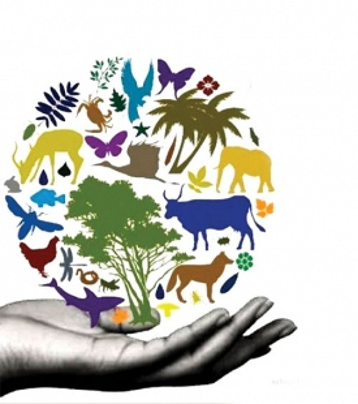 Protect biodiversity  to prevent the next pandemic