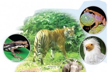 Protect endangered species, save the planet