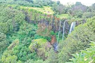 Protect rights of Mhadei villagers before declaring any area as tiger reserve: Puti Gaonkar