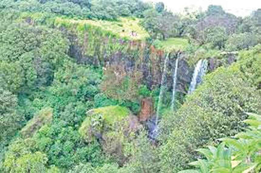 Protect rights of Mhadei villagers before declaring any area as tiger reserve: Puti Gaonkar