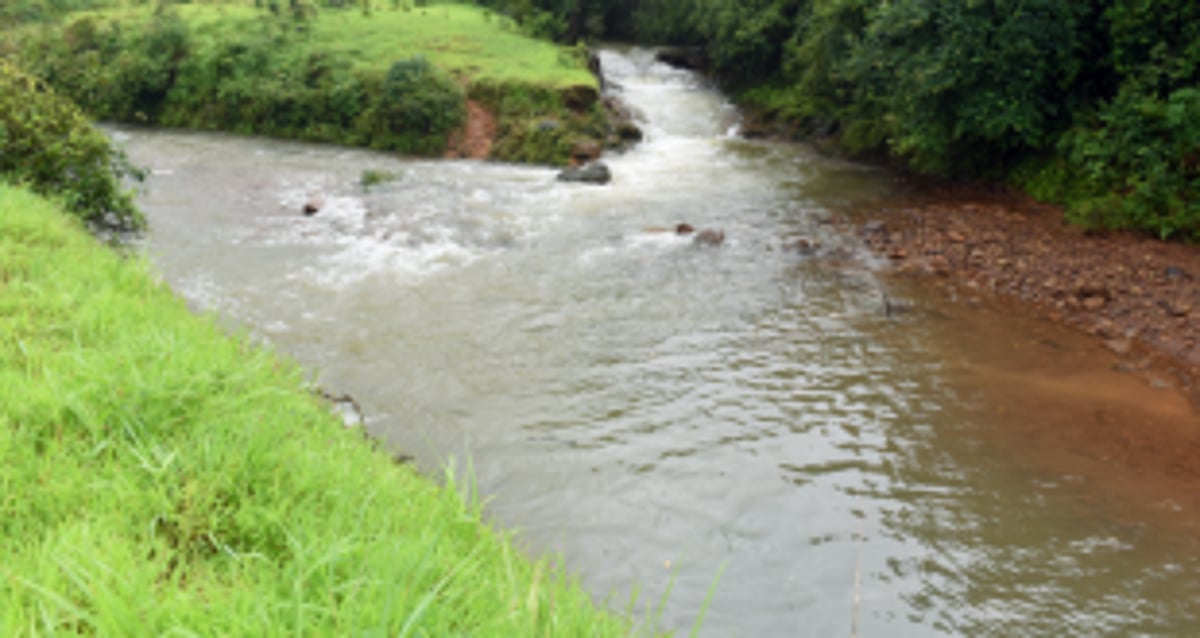 Protecting River Mhadei a priority: Goa Water Resources Minister