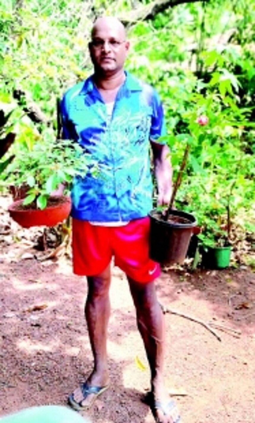 Proudly nurturing over 2,000 varieties of plants, Piedade Dias’ passion for gardening is in full bloom