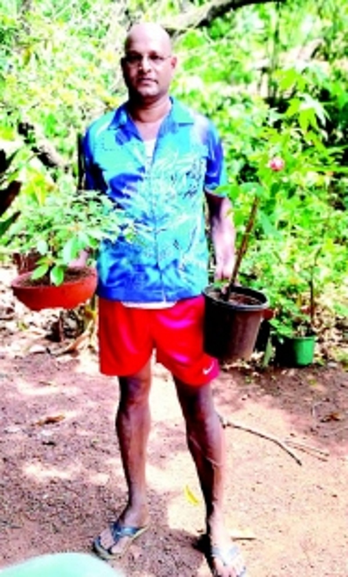 Proudly nurturing over 2,000  varieties of plants, Piedade Dias’ passion for gardening is in full bloom