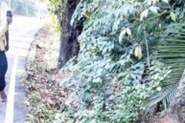 Provide covers to drains  along Benaulim-Mobor road