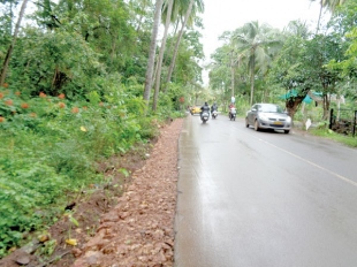 Provide footpaths on Goan killer roads