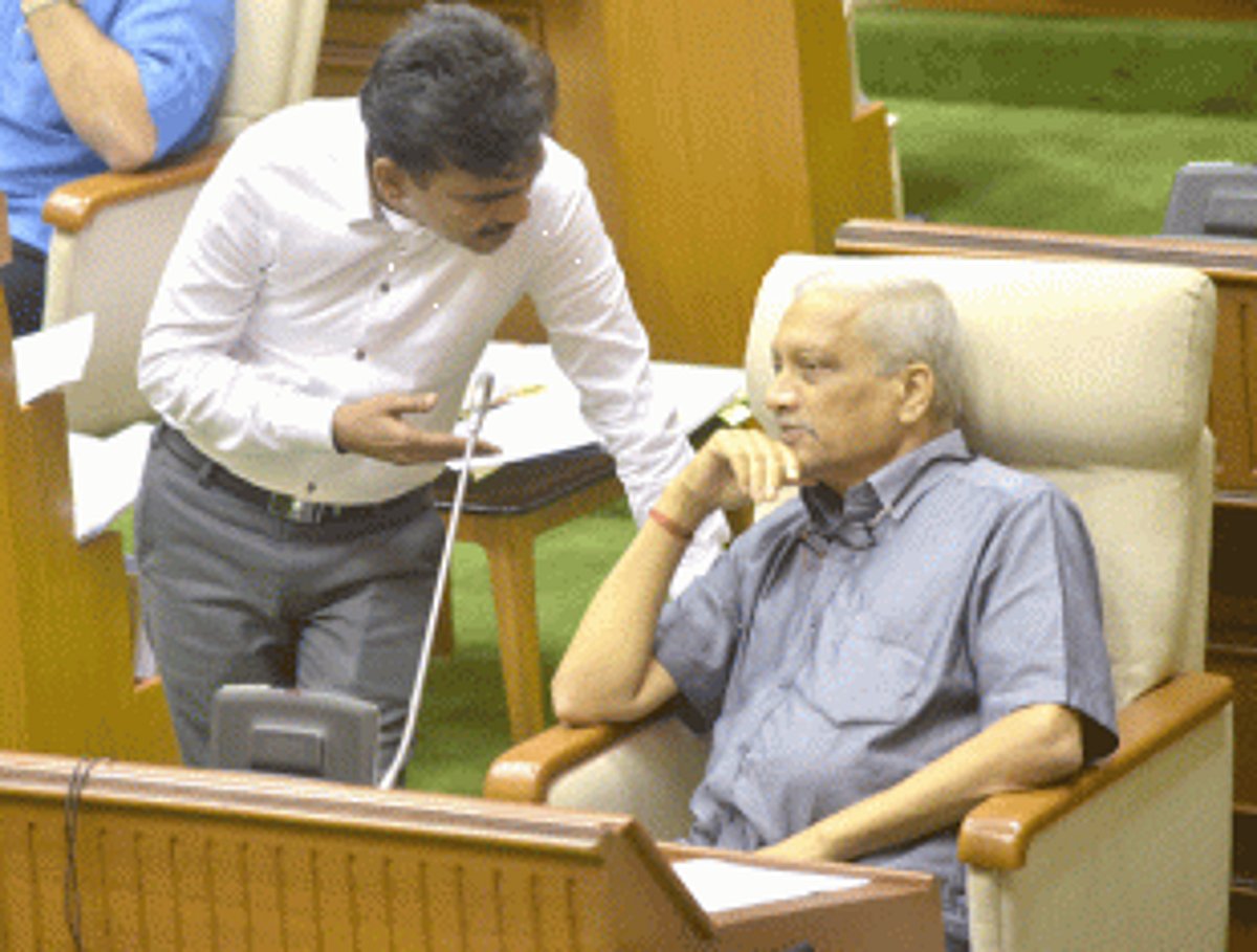 Providing bogus info for government schemes will be criminal
