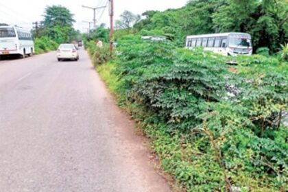Prune overgrown bushes on dividers, urge Fatorda locals