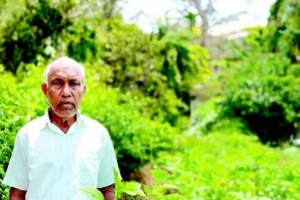 Pundalik’s tale of toil streches over four decades of farming tradition