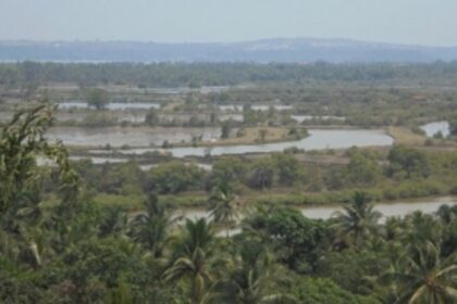 Pune agency failed to meet deadline of desilting work in Shirgao:  WRD to HC