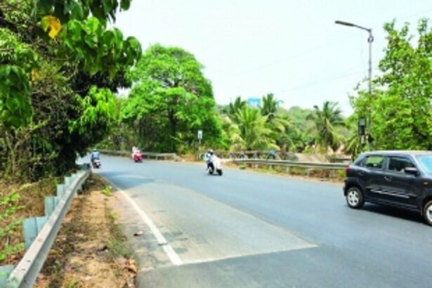 Punish contractor for haphazard  hot mixing of Nagoa road