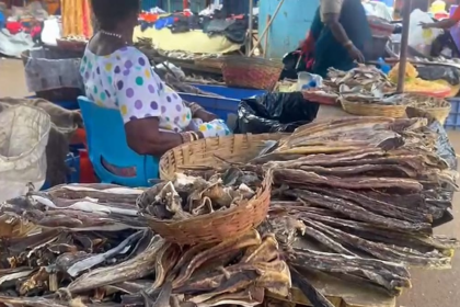 Purumetache Feast Vendors Face Losses Due to Low Footfall and High Fees