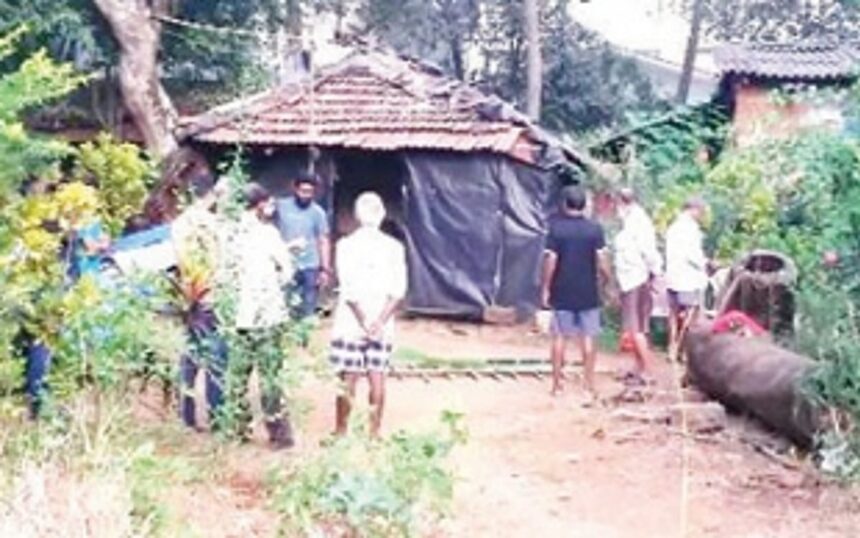Quarrel between brothers leads to murder of one at Mapusa 1 Quarrel between brothers leads to murder of one at Mapusa