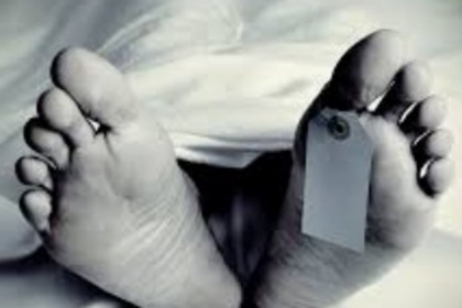 Queeny Nagar Minibus Accident: Death Toll Rises to 2 as Injured Passenger Succumbs
