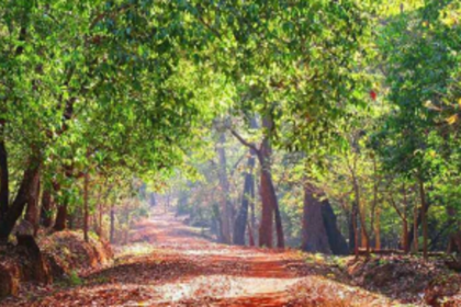 Quepem citizens urge Union Env Ministry to  include some villages in ESA of Western Ghats