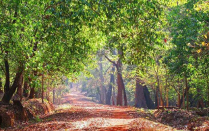 Quepem citizens urge Union Env Ministry to  include some villages in ESA of Western Ghats