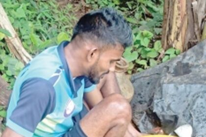 Quepem farmers cash in on cucumber crops