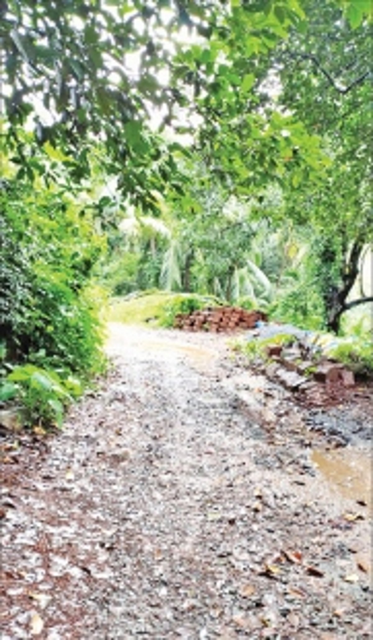 Quepem locals urge govt to repair  roads connecting villages