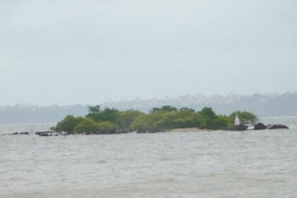 Quest to save Goa’s rapidly diminishing ‘khazan’ treasures