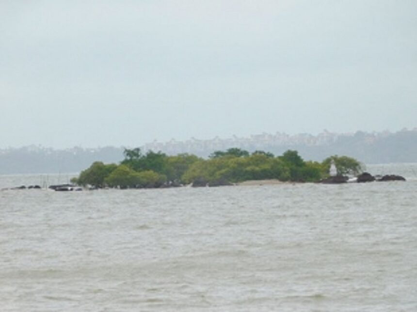 Quest to save Goa’s rapidly diminishing ‘khazan’ treasures 1 Quest to save Goa’s rapidly diminishing ‘khazan’ treasures