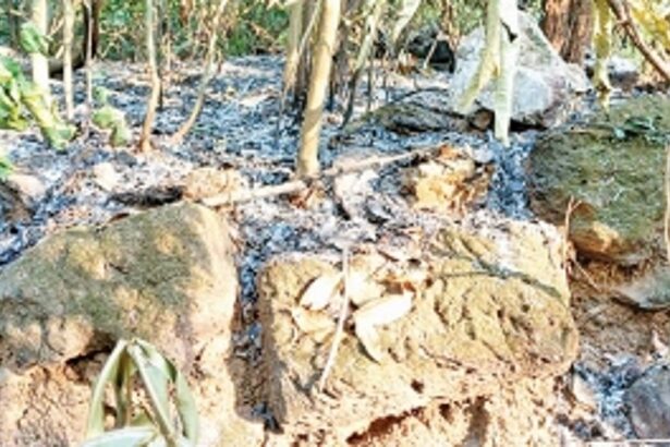 RAGING INFERNO: 100-plus acres of land in Mhadei Sanctuary at Satrem on fire