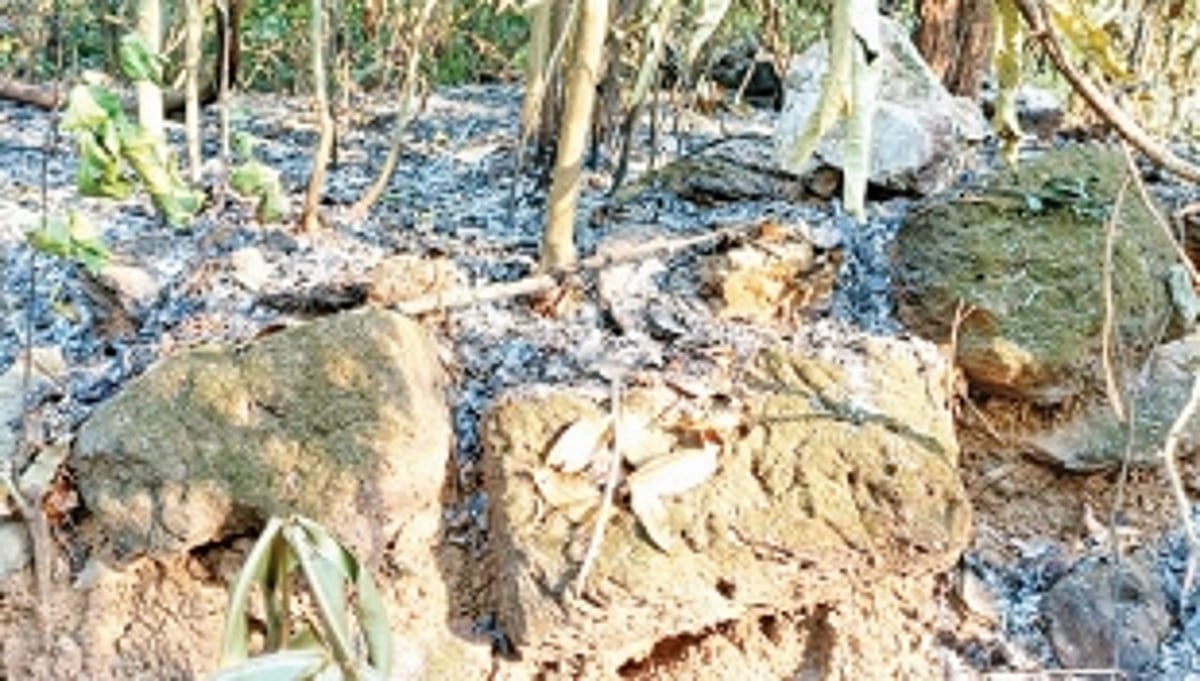 RAGING INFERNO: 100-plus acres of land in Mhadei Sanctuary at Satrem on fire