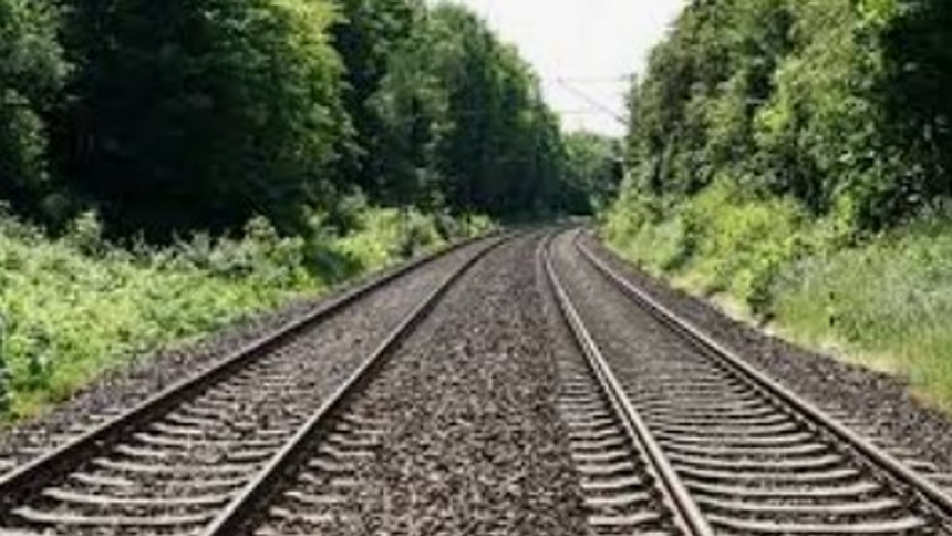 REC Upholds Forest Land Diversion Ban for Kulem-Margao Railway Double Tracking Project 1 REC Upholds Forest Land Diversion Ban for Kulem-Margao Railway Double Tracking Project