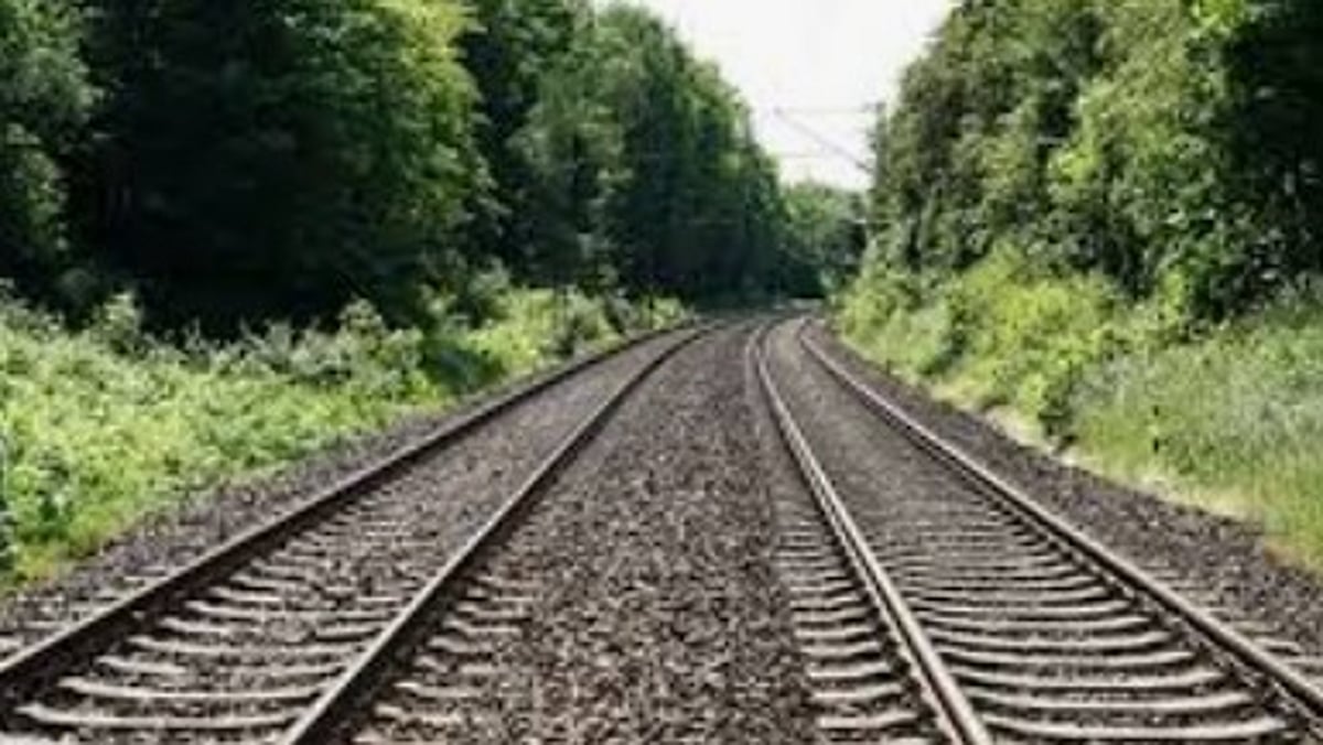 REC Upholds Forest Land Diversion Ban for Kulem-Margao Railway Double Tracking Project