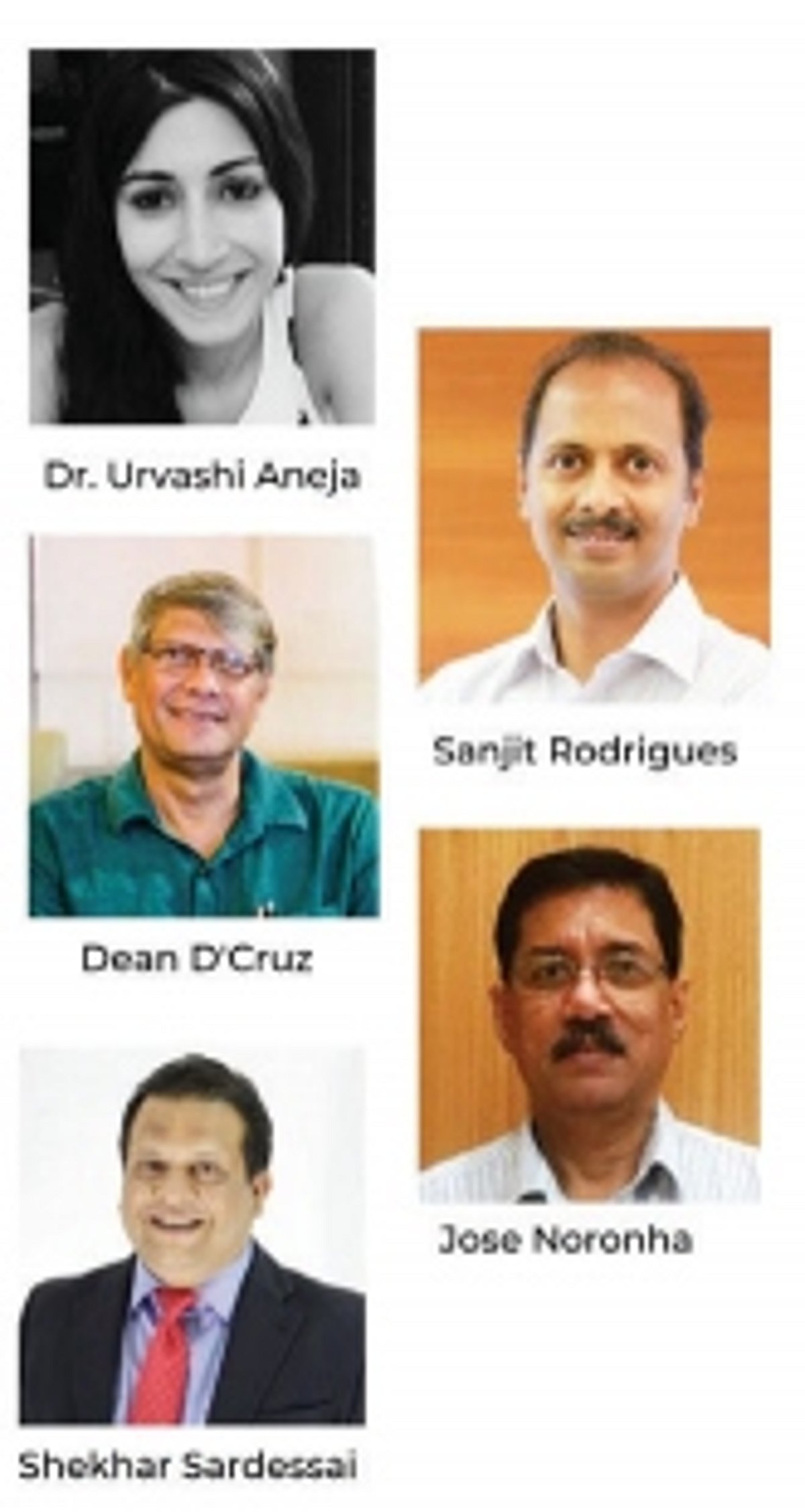 REJIGGING GOA: Reboot to revive