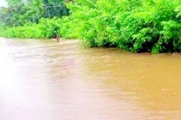 ROAD OR RIVER? Guleli- Murmune road submerged