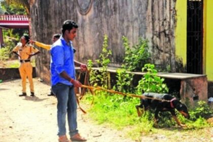 ROBBERIES RATTLE SOUTH