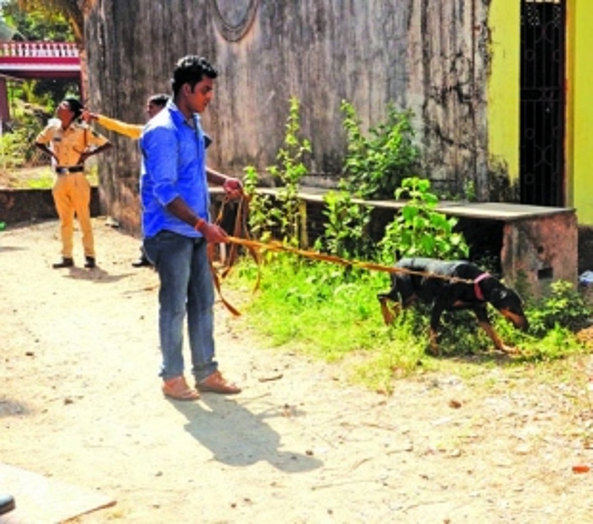 ROBBERIES RATTLE SOUTH