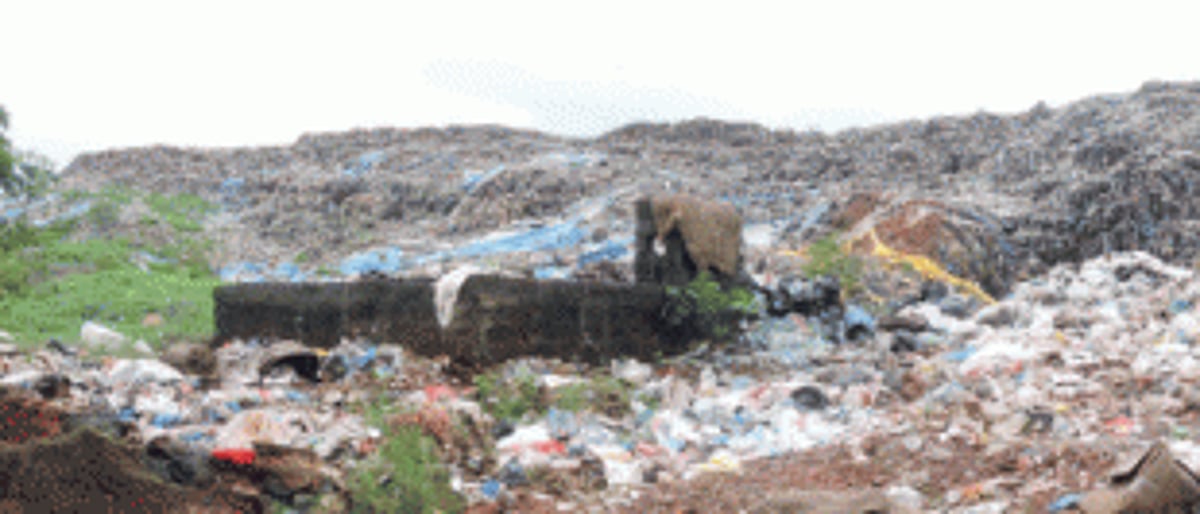 RUBBISH That’s how the DMA has been treating Madgavkars