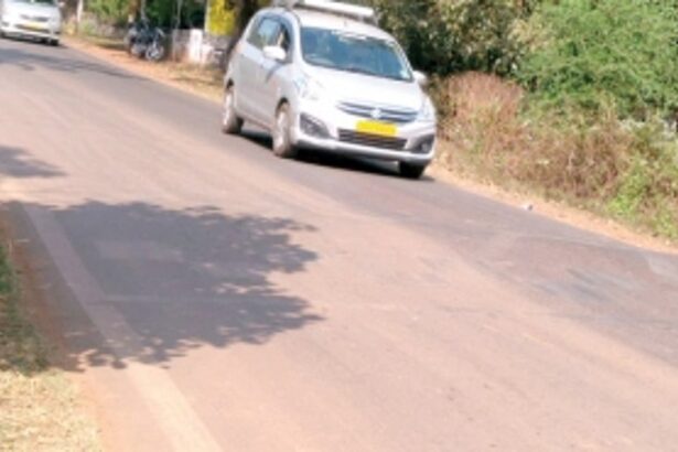 RUMBLER STRIPS yet to replace poorly-maintained speed-breakers