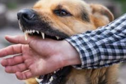 Rabies Eradication, Dog Vaccination Drive Launched in Ponda After Toddler’s Death