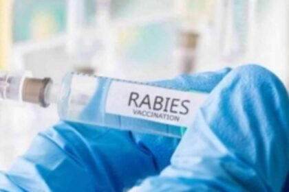 Rabies vaccination campaign starts today