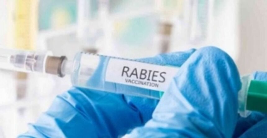 Rabies vaccination campaign starts today
