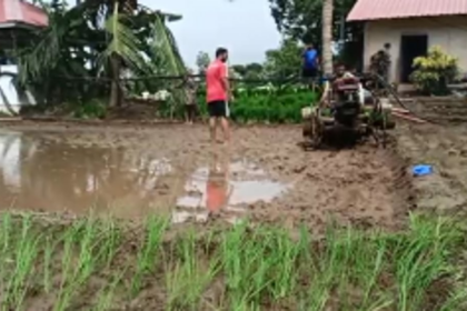 Rachol seminarians carry forward tradition of cultivating paddy