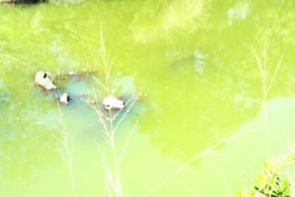 Ragda river water unfit for drinking: Sacorda villagers