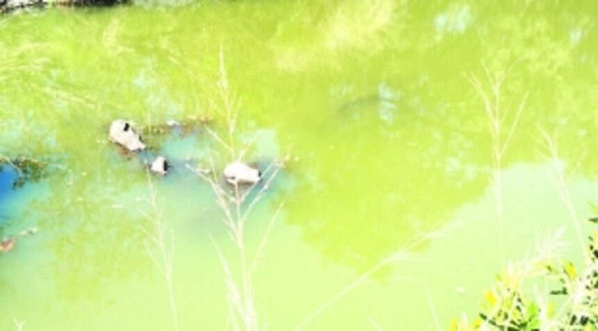 Ragda river water unfit for drinking: Sacorda villagers