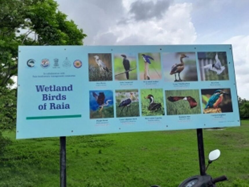 Raia Biodiversity Committee aims to restore Bacbhatt Lake 1 Raia Biodiversity Committee aims to restore Bacbhatt Lake